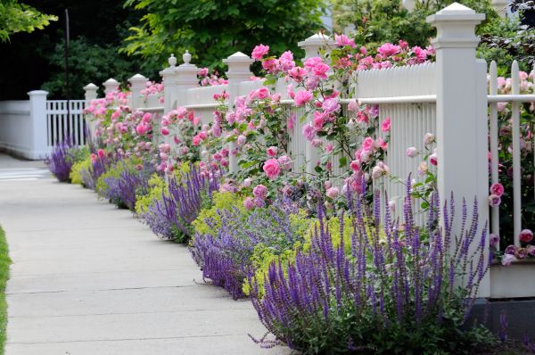 Garden Handyman Service in West Jordan