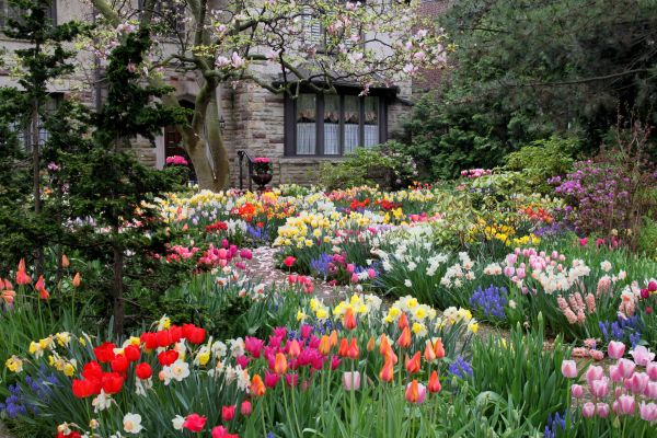 Garden Maintenance Service in West Jordan