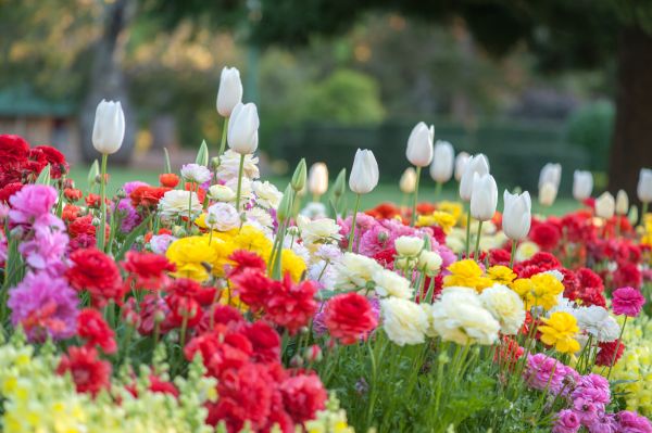 Gardening Service in West Jordan