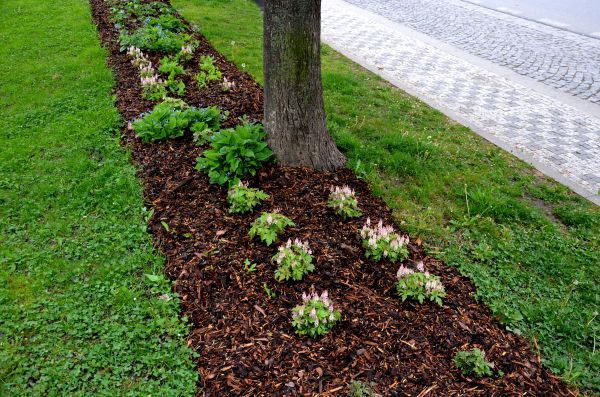 Mulch Replacement Service in West Jordan