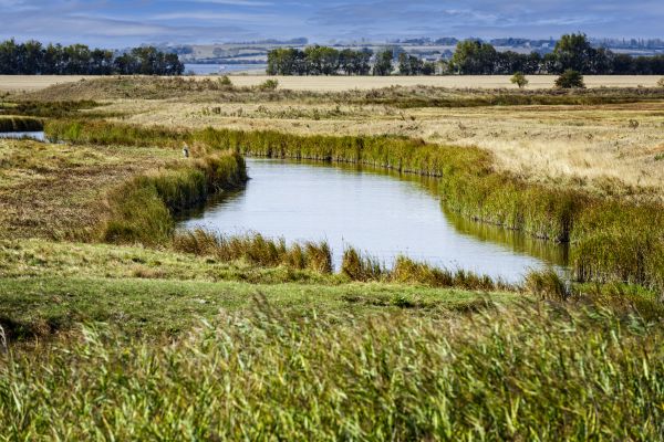Swale Landscaping in West Jordan