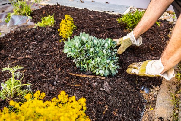 Weeding And Mulching in West Jordan