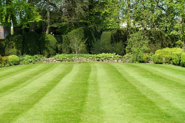 Lawn Renovation in West Jordan