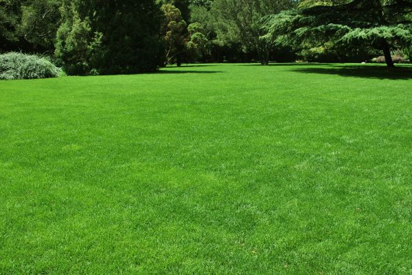 Lawn Landscaping in West Jordan