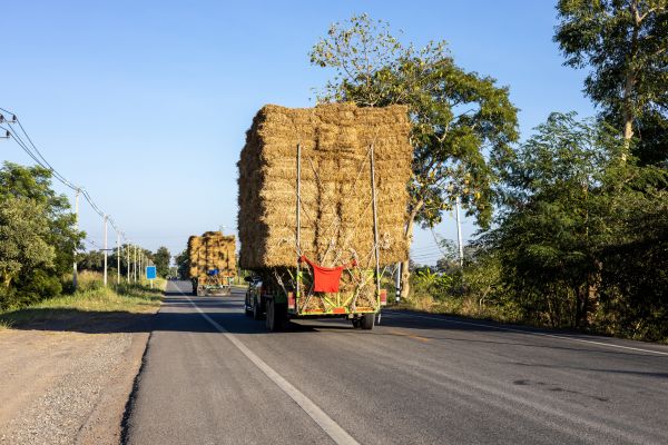 Pine Straw Delivery in West Jordan