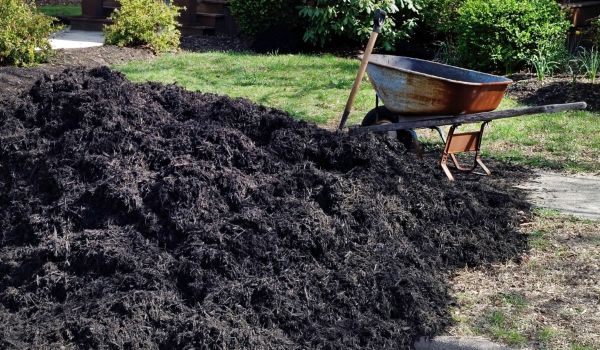 Black Mulch Delivery in West Jordan