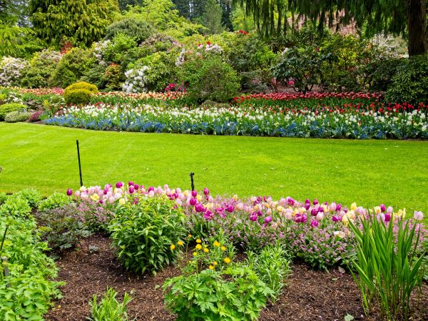 Residential Landscape Design in West Jordan