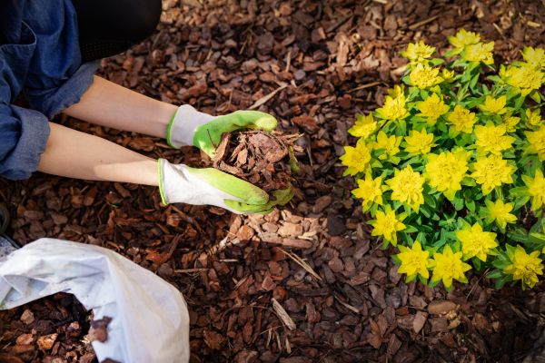 Pine Bark Mulch Installation in West Jordan