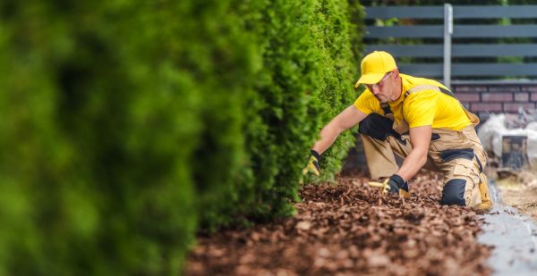 Cypress Mulch Installation in West Jordan