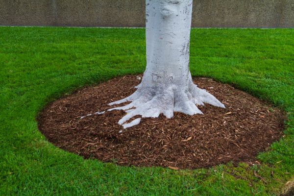 Brown Mulch Installation in West Jordan