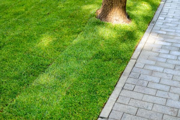 Border Stone Installation in West Jordan