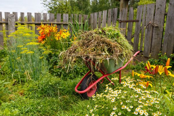 Garden Cleanup Service in West Jordan