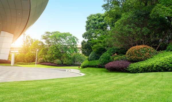 Business Landscape Design in West Jordan