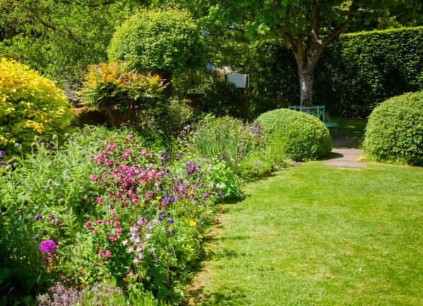 Yard Landscaping Service in West Jordan