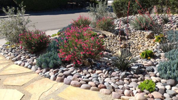 Xeriscape Landscaping in West Jordan