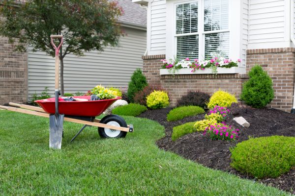 Tree And Shrub Planting in West Jordan