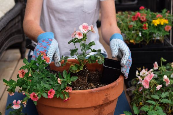 Plant Care Service in West Jordan