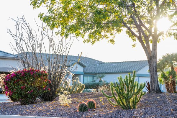Dryscape Landscaping in West Jordan
