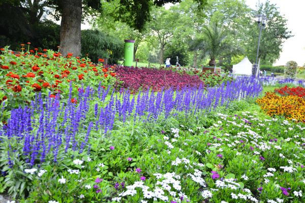 Perennials Planting in West Jordan