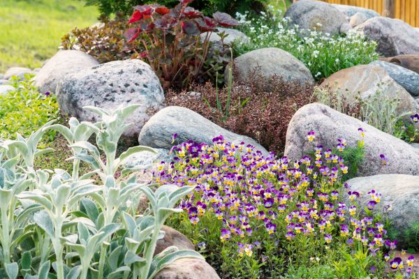 Rock Garden Installation in West Jordan