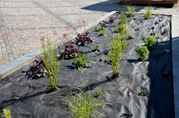 Landscape Fabric Installation in West Jordan