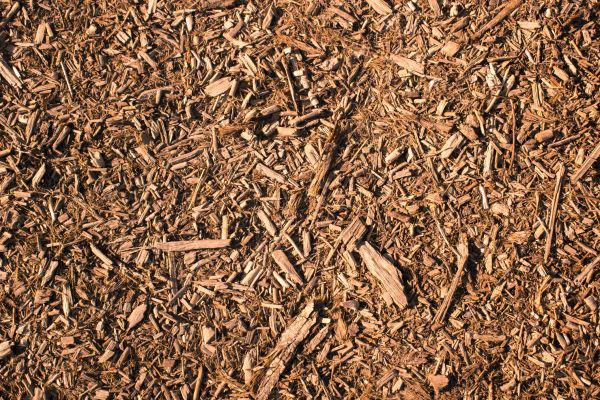 Wood Chips Removal in West Jordan