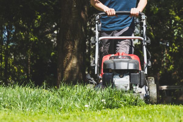 Garden Trimming Service in West Jordan