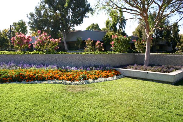 Commercial Landscape Service in West Jordan
