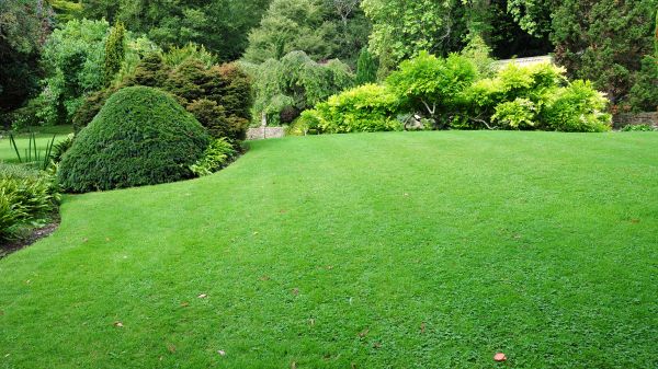Commercial Landscape Design in West Jordan