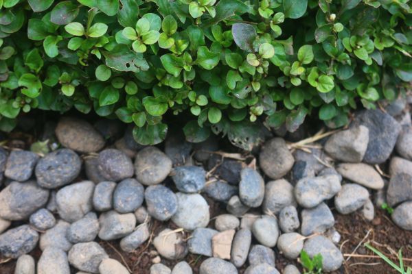 River Stone Installation in West Jordan