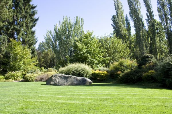 Yard Enlargement in West Jordan