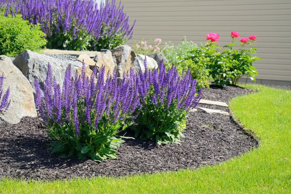 Landscape Planting Service in West Jordan