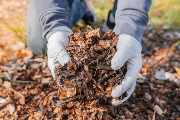 Shredded Mulch Installation in West Jordan