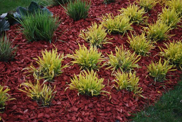 Red Mulch Installation in West Jordan