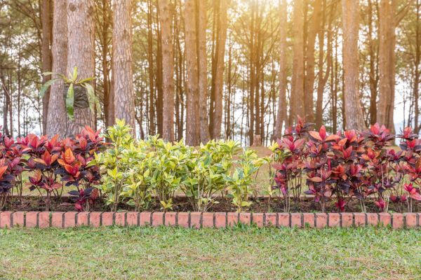 Small Garden Landscaping in West Jordan