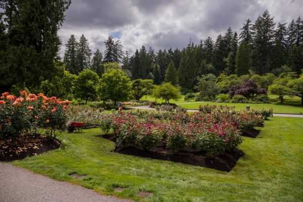 Flower Garden Landscaping in West Jordan