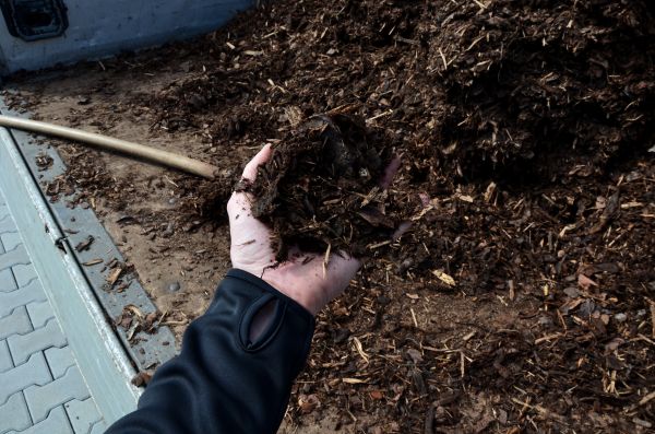 Condo Mulching in West Jordan