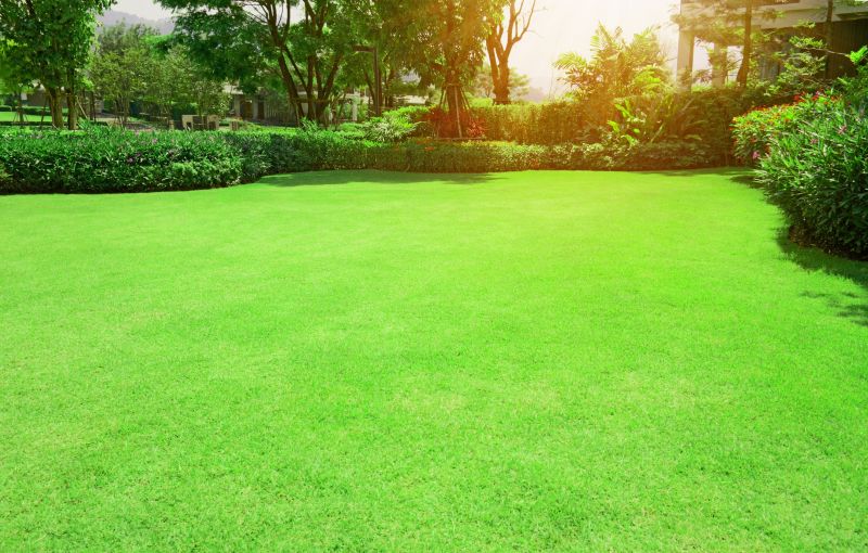 Lawn and Turf Solutions